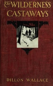 Cover of The Wilderness Castaways — A Rea...